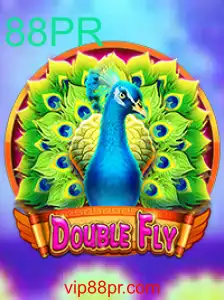 Descubra o Envolvente Jogo DoubleFly: Regras e Estratégias